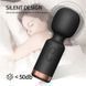 Компактний вібратор-мікрофон чорного кольору (USB)