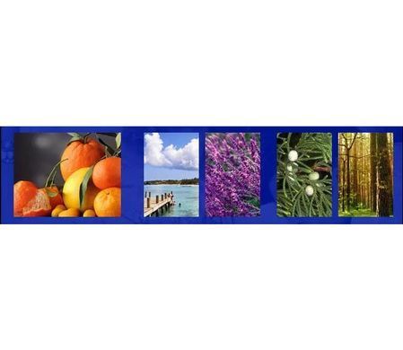 Духи с феромонами для Мужчин Pheromone Attractant Lure Her, 50 мл